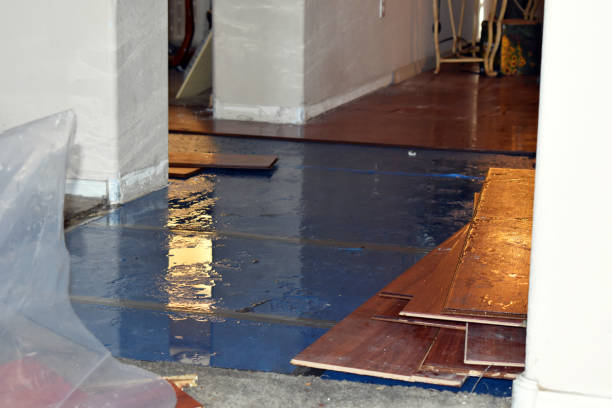 Professional Water Damage technician working in East Springfield, PA
